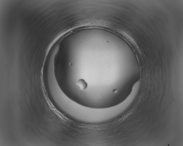 X0000083000936200702230123