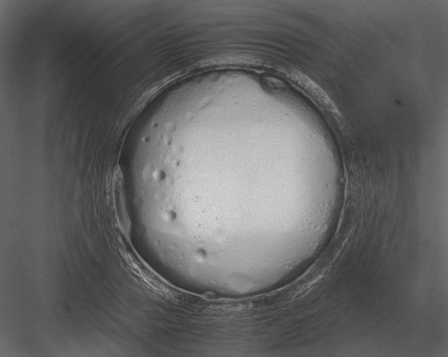 X0000083000937200702230123