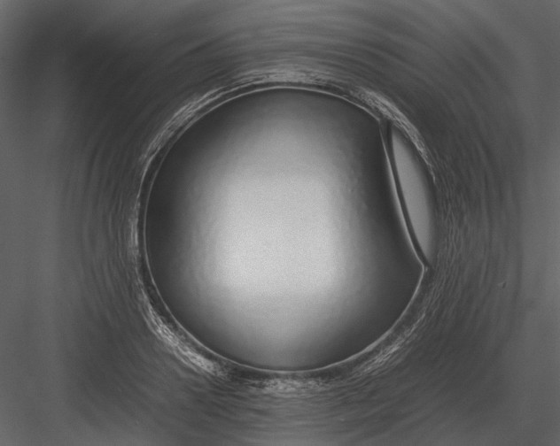 X0000083000938200702230123