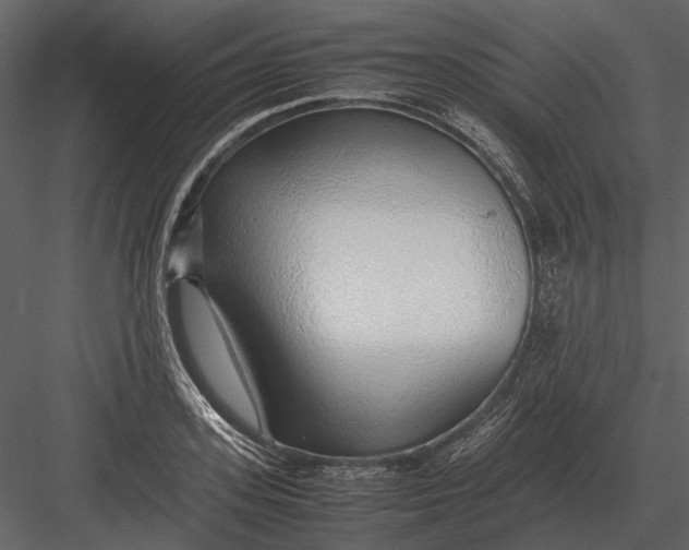 X0000083000939200702230123