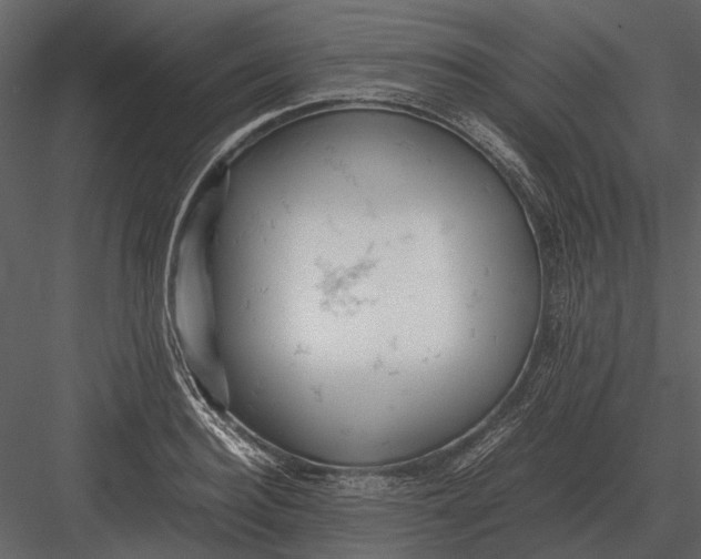 X0000083000940200702230123