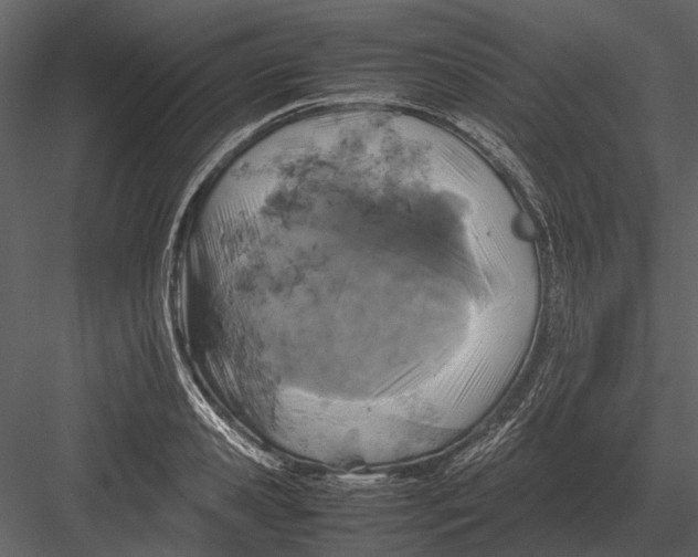 X0000083000941200702230123