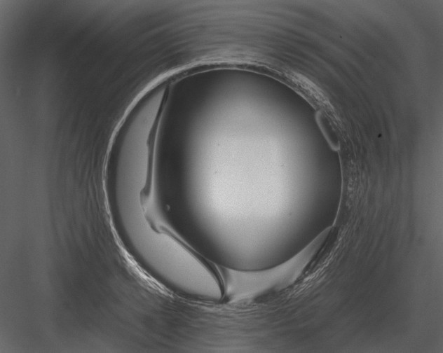 X0000083000942200702230123