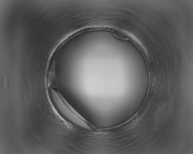 X0000083000943200702230123