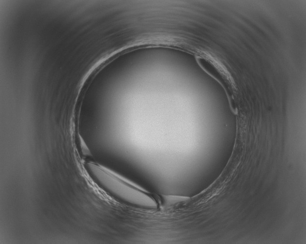 X0000083000944200702230123