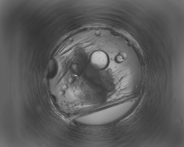 X0000083000945200702230123