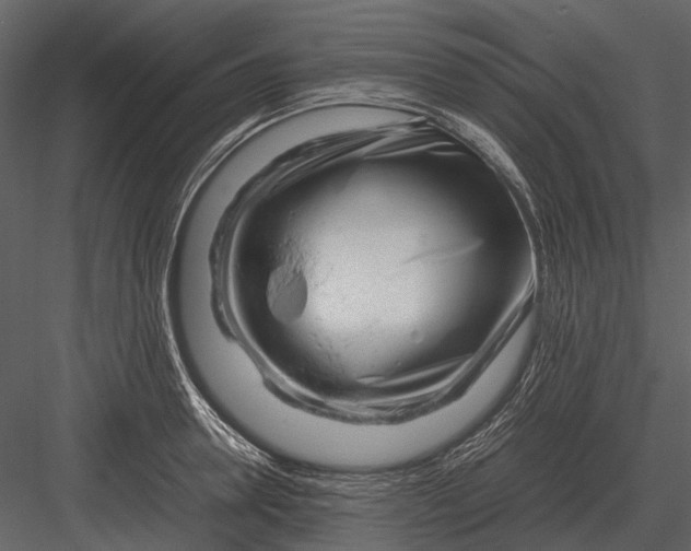 X0000083000946200702230123