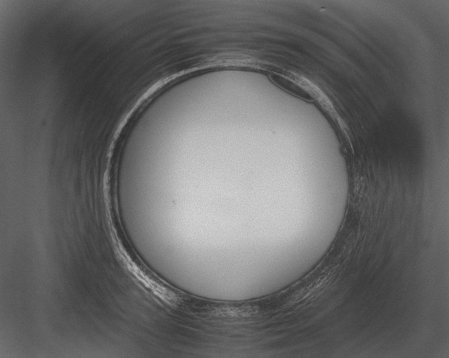 X0000083000947200702230123