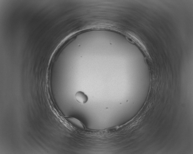 X0000083000948200702230123