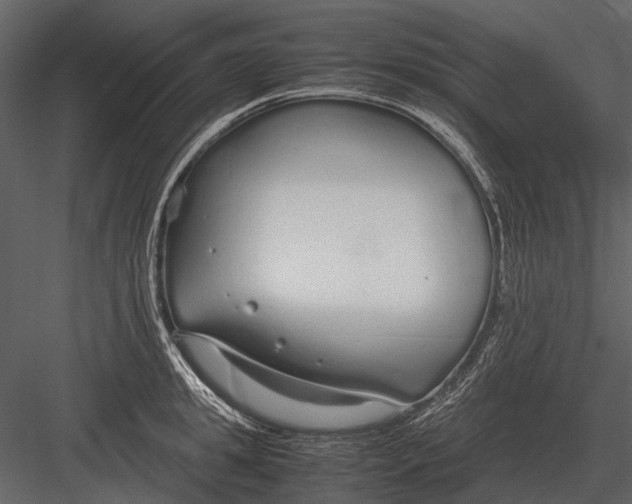 X0000083000949200702230123