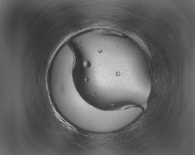 X0000083000950200702230123