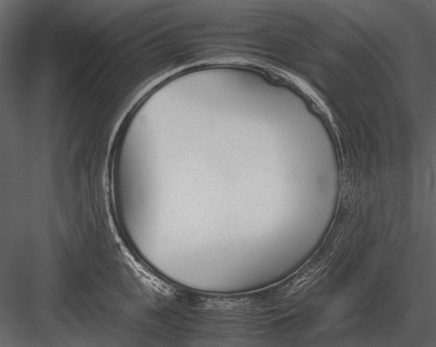 X0000083000951200702230123