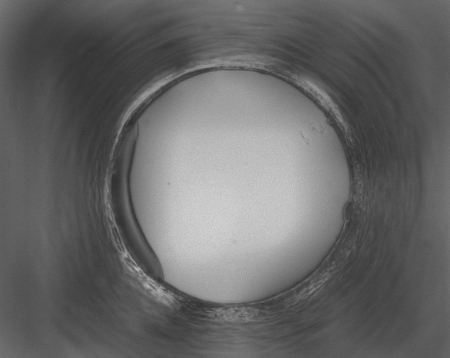 X0000083000952200702230123