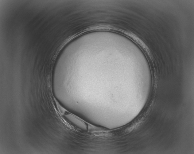 X0000083000953200702230123