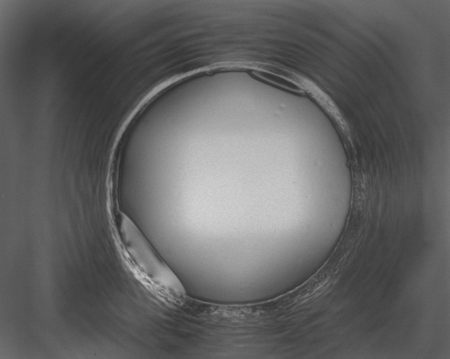 X0000083000955200702230123