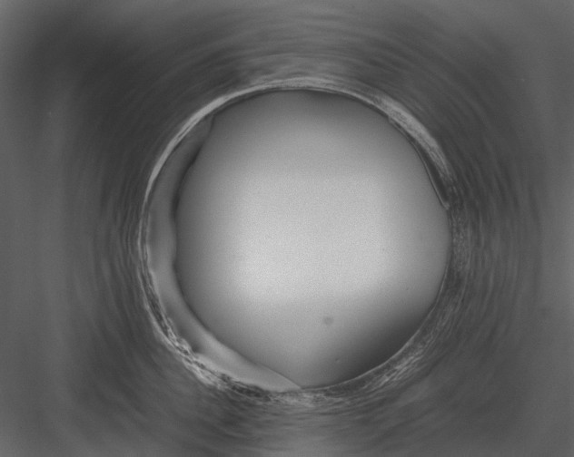 X0000083000956200702230123