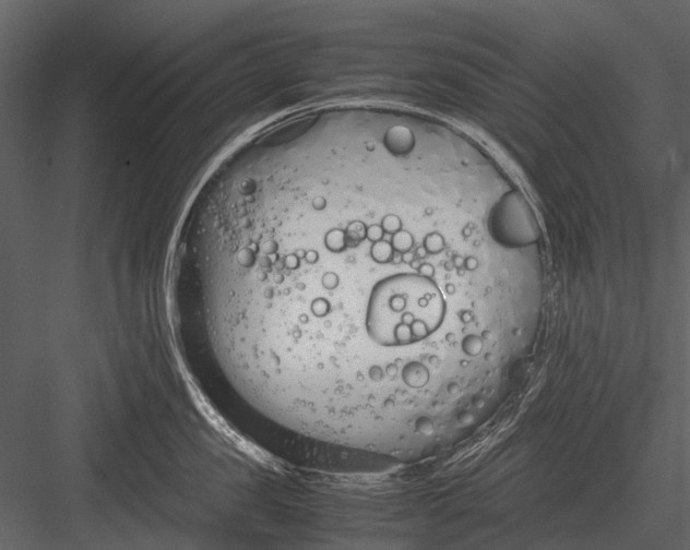 X0000083000957200702230123