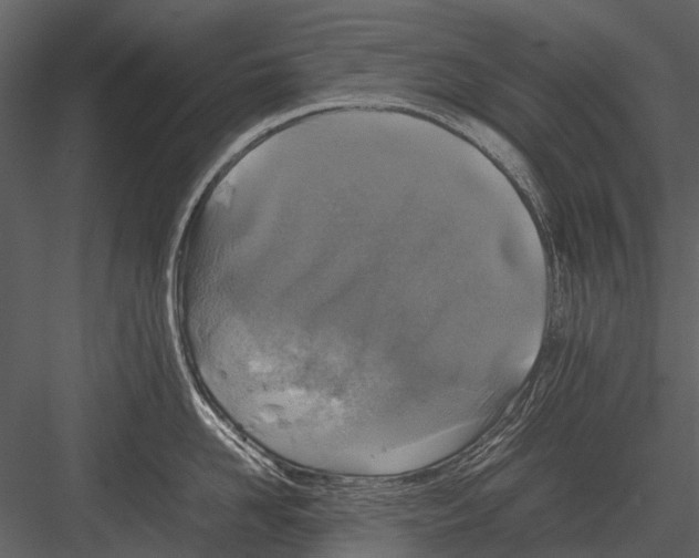 X0000083000958200702230123