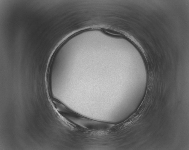 X0000083000959200702230123