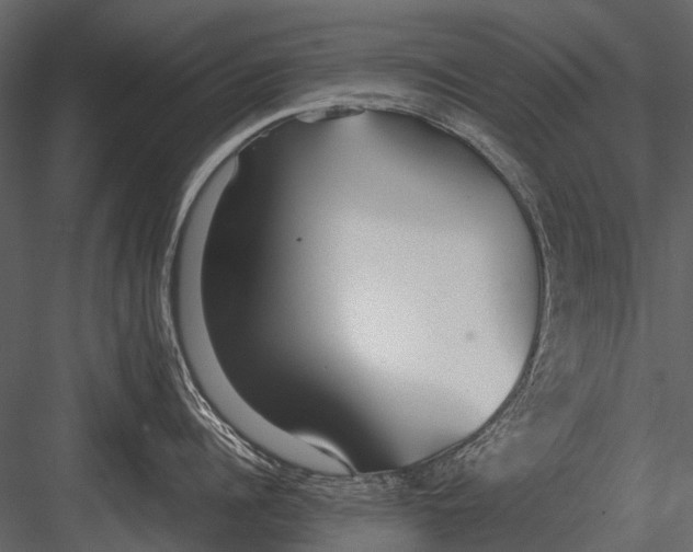 X0000083000960200702230123