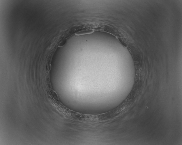 X0000083000961200702230122