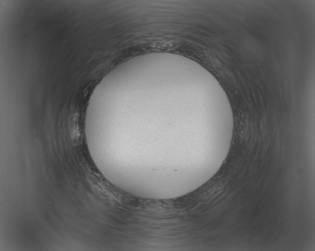 X0000083000962200702230122