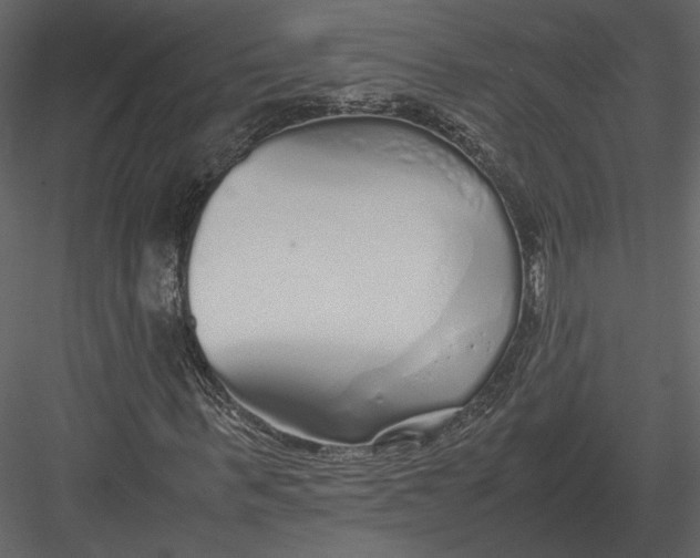 X0000083000963200702230122