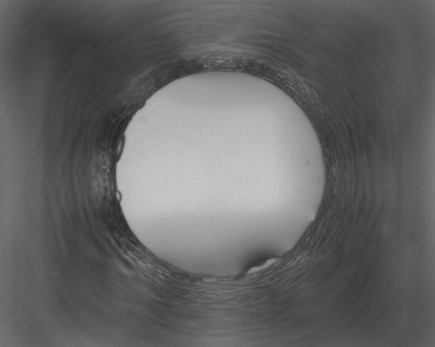 X0000083000964200702230122