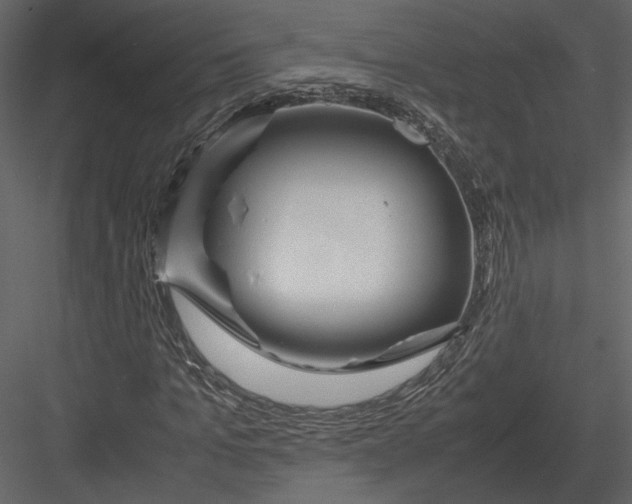 X0000083000965200702230122