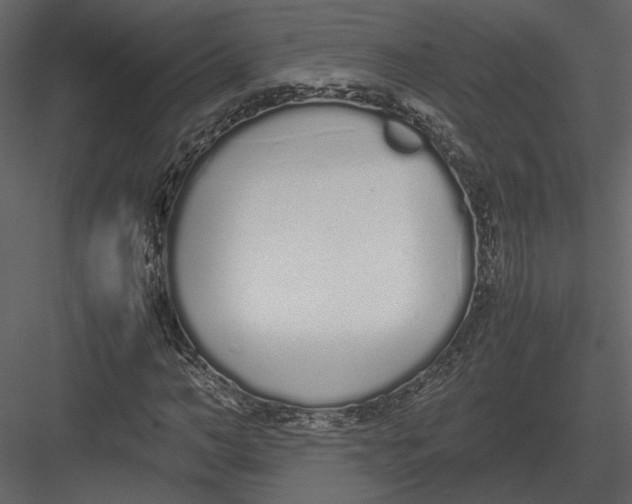 X0000083000966200702230122