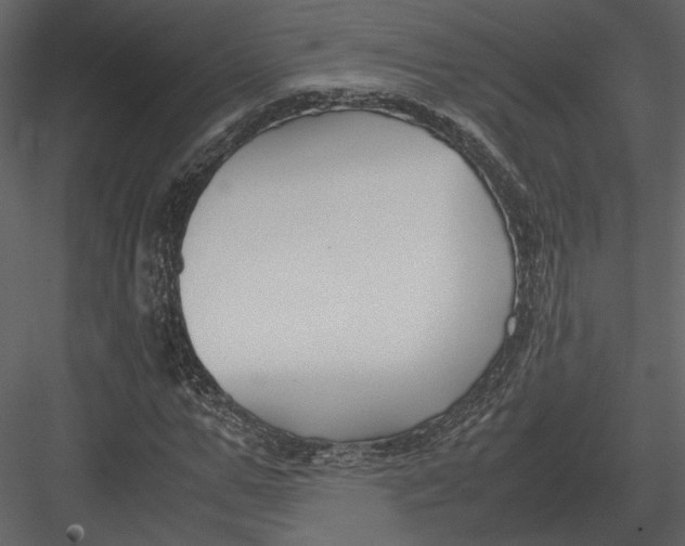 X0000083000967200702230122