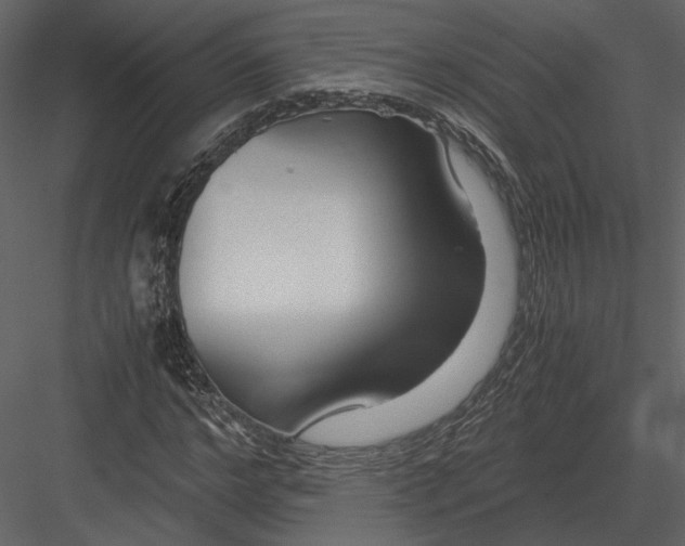 X0000083000968200702230122