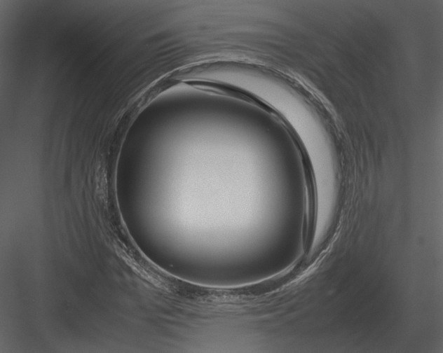 X0000083000969200702230122