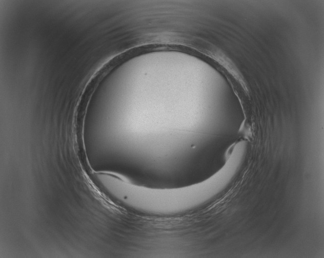 X0000083000972200702230122