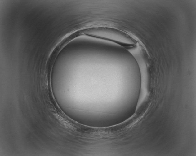 X0000083000973200702230122