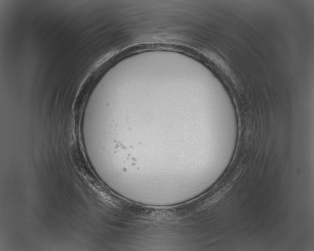 X0000083000974200702230122