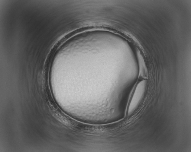 X0000083000975200702230122