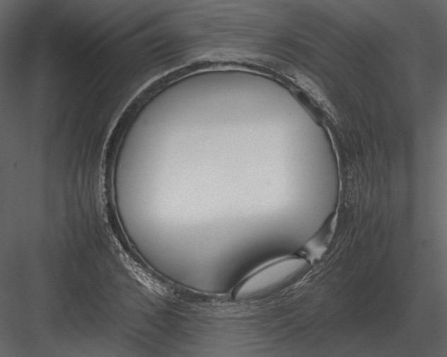 X0000083000976200702230122