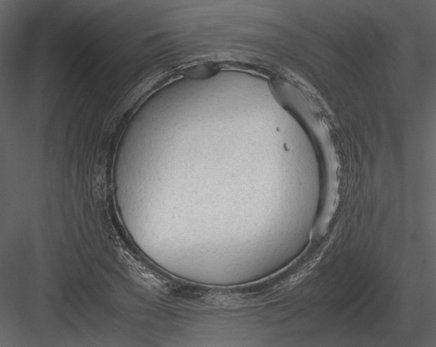 X0000083000977200702230122