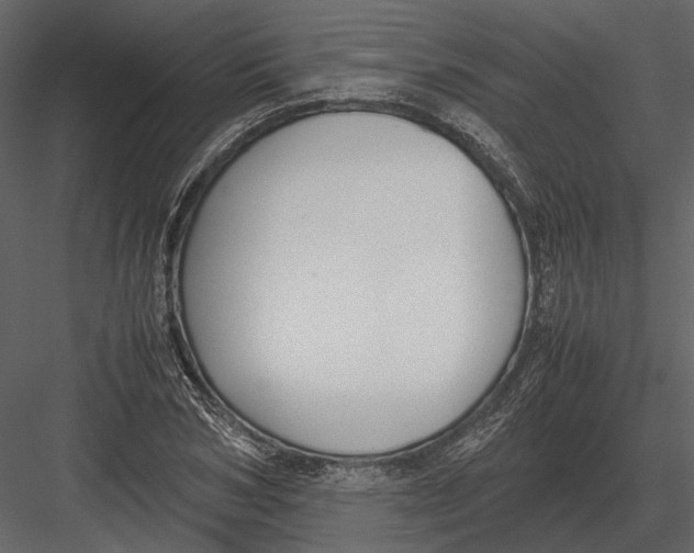 X0000083000978200702230122