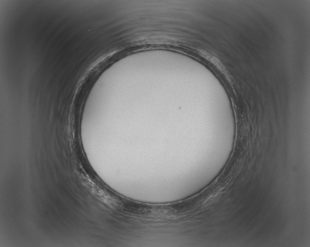 X0000083000979200702230122