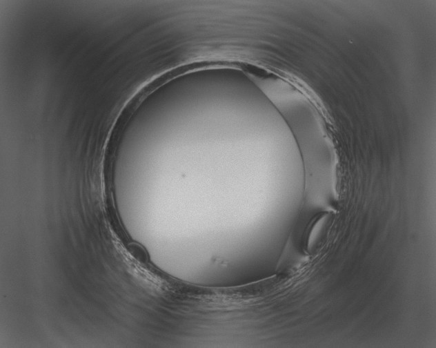 X0000083000980200702230122