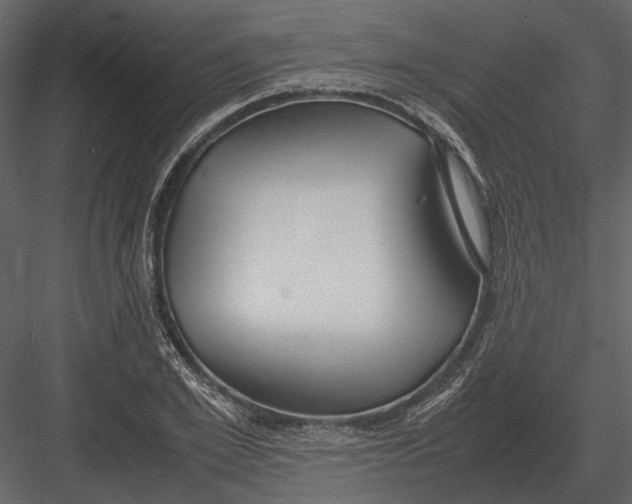 X0000083000981200702230122