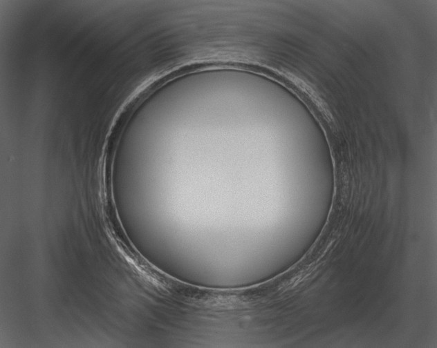 X0000083000982200702230122