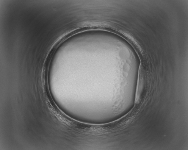 X0000083000983200702230122