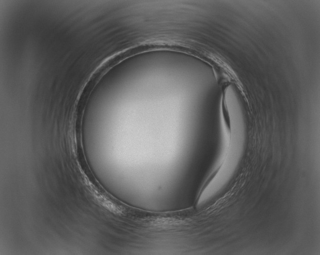 X0000083000984200702230122