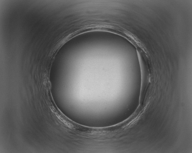 X0000083000985200702230122