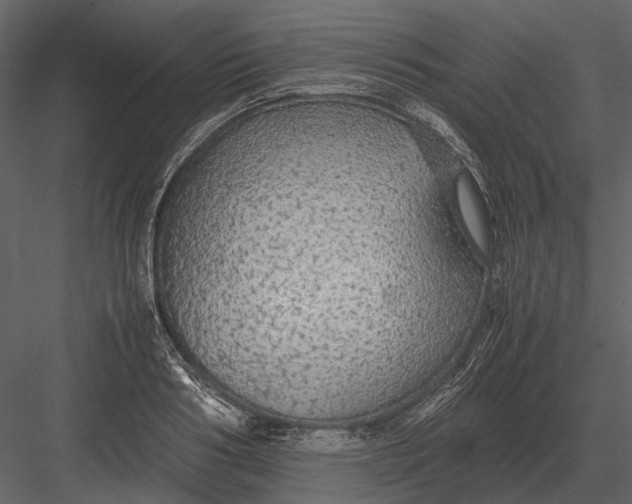 X0000083000986200702230122