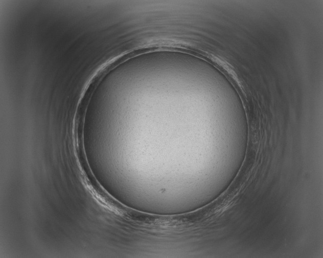 X0000083000987200702230122