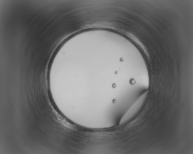 X0000083000988200702230122